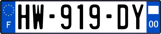 HW-919-DY