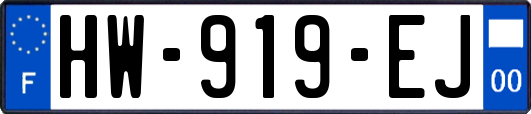 HW-919-EJ