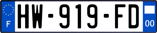 HW-919-FD