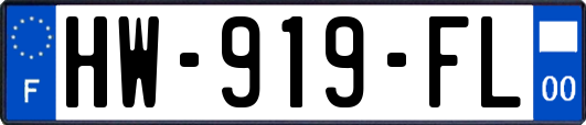 HW-919-FL