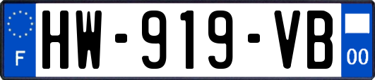 HW-919-VB