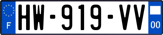 HW-919-VV