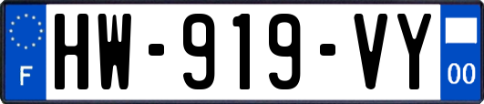 HW-919-VY