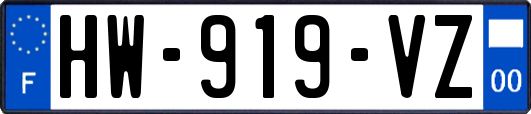 HW-919-VZ