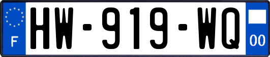 HW-919-WQ