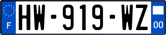 HW-919-WZ