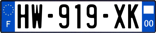 HW-919-XK