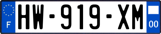 HW-919-XM