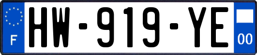 HW-919-YE