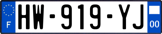 HW-919-YJ