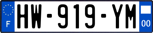 HW-919-YM