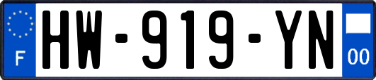 HW-919-YN