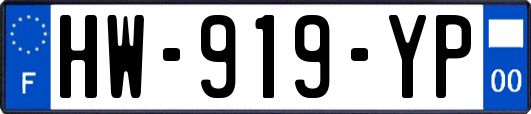 HW-919-YP