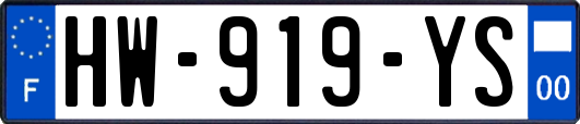 HW-919-YS