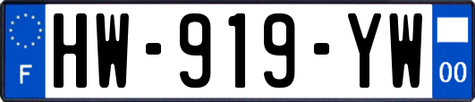 HW-919-YW