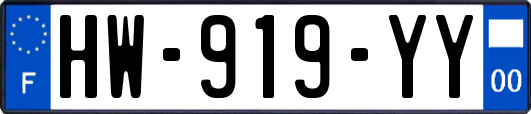 HW-919-YY