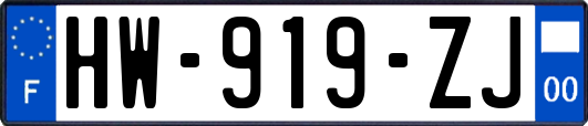 HW-919-ZJ