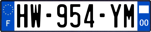 HW-954-YM