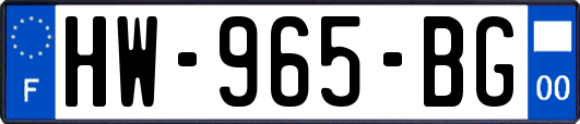 HW-965-BG
