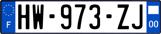 HW-973-ZJ