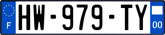 HW-979-TY