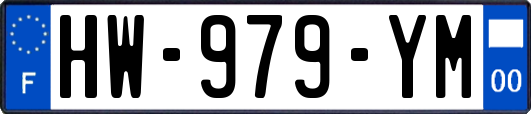 HW-979-YM