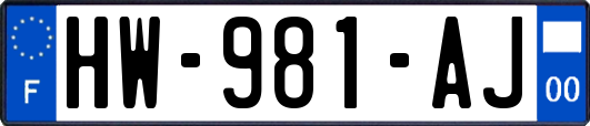 HW-981-AJ