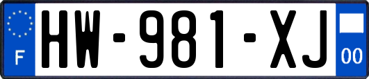 HW-981-XJ