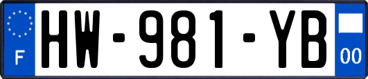 HW-981-YB