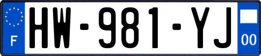 HW-981-YJ