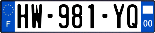 HW-981-YQ