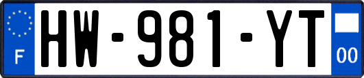 HW-981-YT