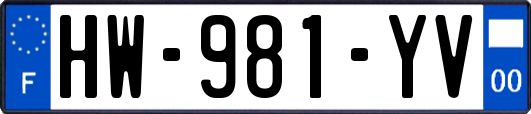HW-981-YV