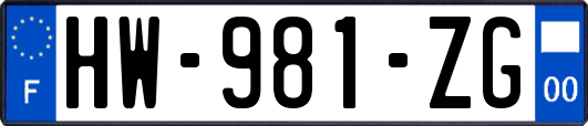 HW-981-ZG