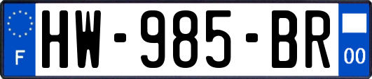 HW-985-BR