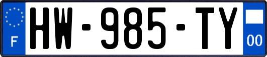 HW-985-TY