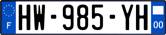 HW-985-YH