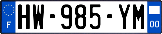 HW-985-YM