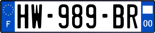 HW-989-BR