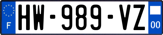 HW-989-VZ