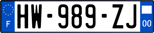 HW-989-ZJ