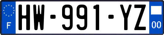 HW-991-YZ