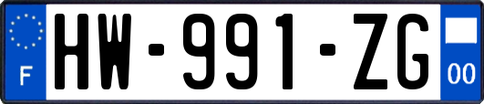 HW-991-ZG
