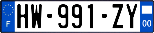 HW-991-ZY