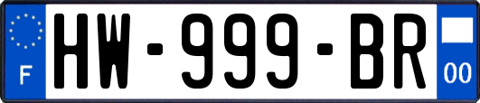 HW-999-BR