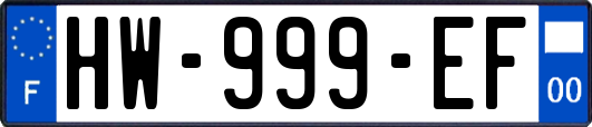 HW-999-EF