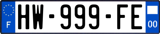 HW-999-FE