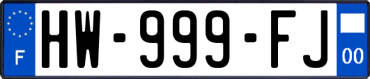 HW-999-FJ