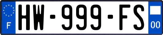 HW-999-FS