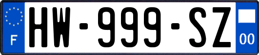 HW-999-SZ